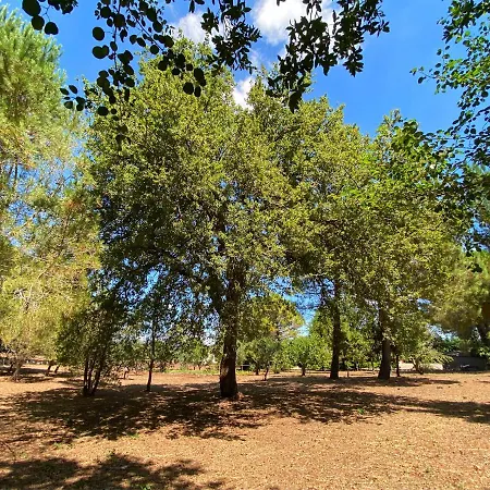 Marzano Villa Alberobello