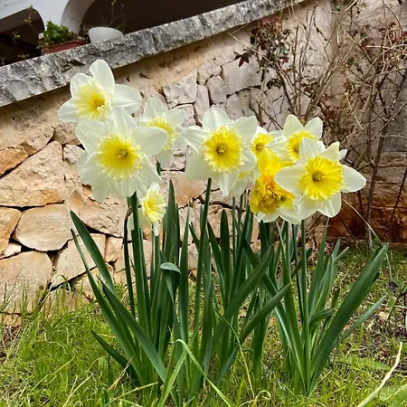 Villa Marzano