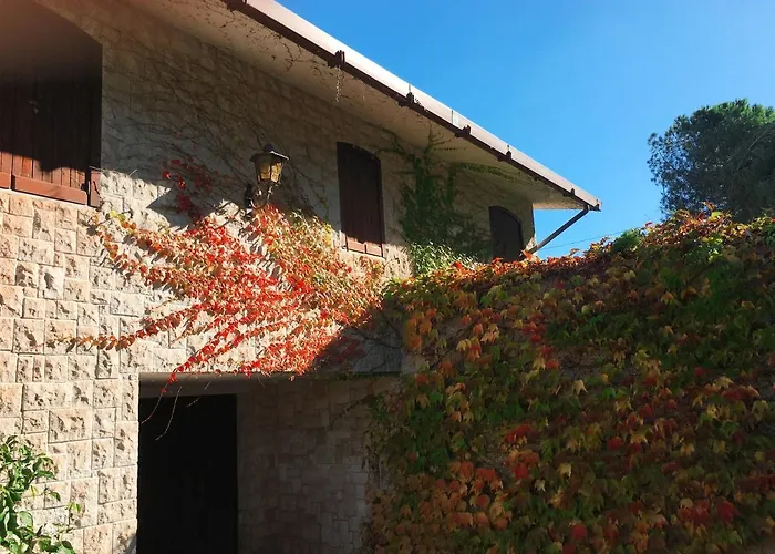 Marzano * 阿尔贝罗贝洛